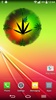 Rasta Weed Clock Widget screenshot 5