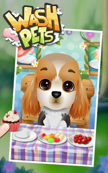 Wash Pets - Preview 1