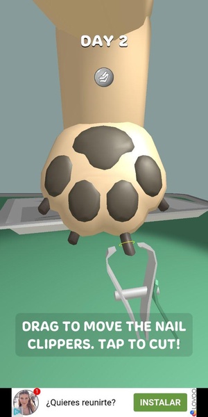 Paw Care - Preview 4