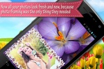 Beautiful Photo Frames screenshot 4