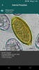 CAPC Internal Parasites ID screenshot 1