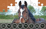 Puzzle Horses screenshot 4