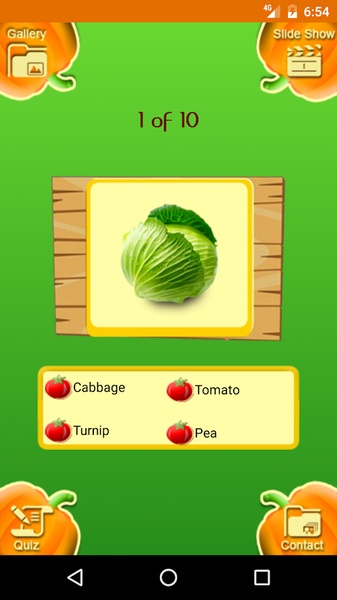 Vegetable Book - Preview 11