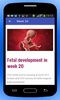 Pregnancy Baby Weekly Tracker screenshot 1