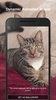 Cute Cat Live Wallpaper screenshot 3