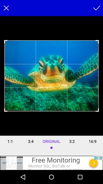 Tijery Remove Background - Preview 4