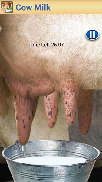 Cow Milk - Preview 2