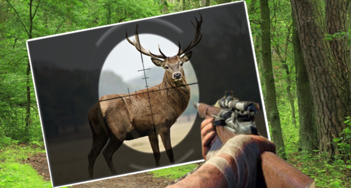 Safari Animal Hunting - Preview 3