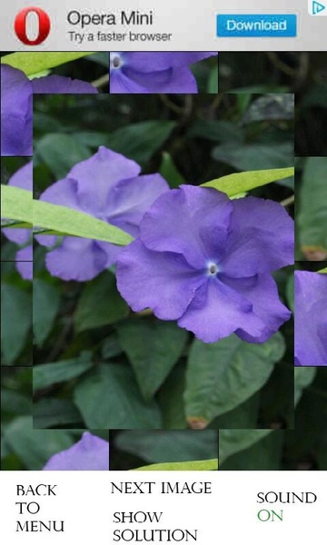 PhotoPuzzle - Flowers free - Preview 3