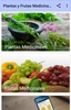 Plantas y frutas medicinales gratis screenshot 4