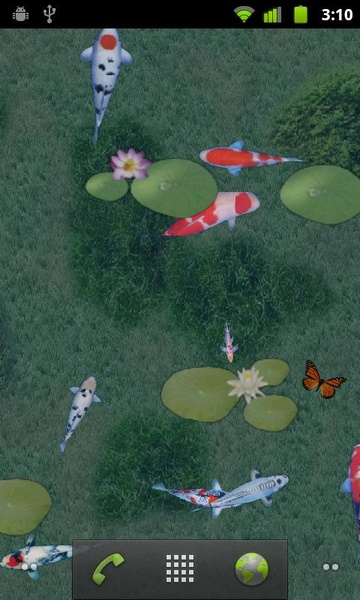 aniPet Koi LiveWallpaper - Preview 1