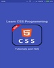 Learn CSS screenshot 5