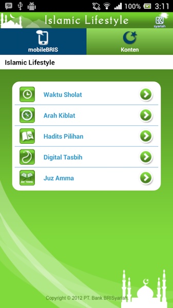 mobileBRIS - Preview 2