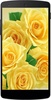 Yellow Roses Wallpapers screenshot 5