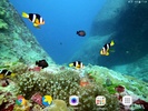 Colorful Fishes Live Wallpaper screenshot 2