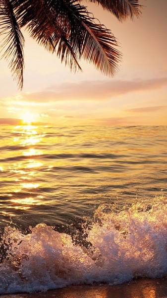 Beach Sunset Live Wallpaper - Preview 6