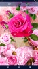 Pink Rose 4K Live Wallpaper screenshot 2