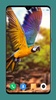 Parrot Wallpapers 4K screenshot 6