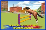 Police Horse Training 3D screenshot 10