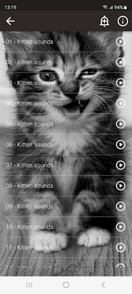 Cats sounds - Preview 2