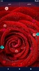 Red Rose 4K Live Wallpaper screenshot 3