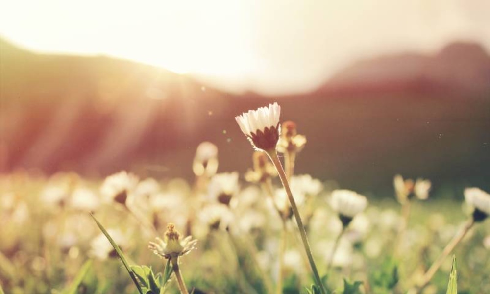 The most beautiful wallpapers and backgrounds of the sun 4 k - Preview 4