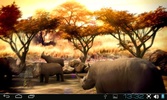 Africa 3D Free Live Wallpaper screenshot 3