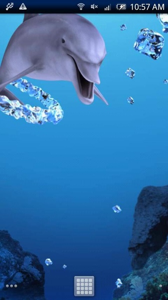 Dolphin Ring Trial - Preview 2