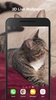 Cute Cat Live Wallpaper screenshot 4