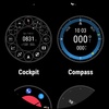 Wear Compass screenshot 2