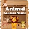 Animal Sound screenshot 3
