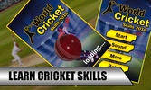 World Cricket Skills screenshot 2