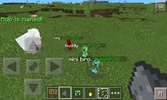 CreeperBuddies screenshot 8