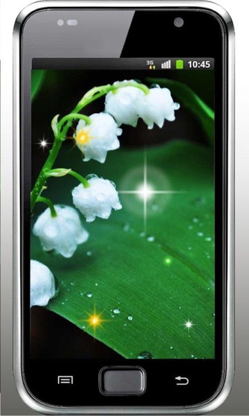 Springs Lilies Flowers - Preview 3