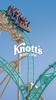 Knott's Berry Farm screenshot 8