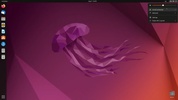 Ubuntu screenshot 3