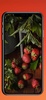 Fruits Wallpapers HD screenshot 1
