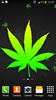 Marijuana Live Wallpaper screenshot 4