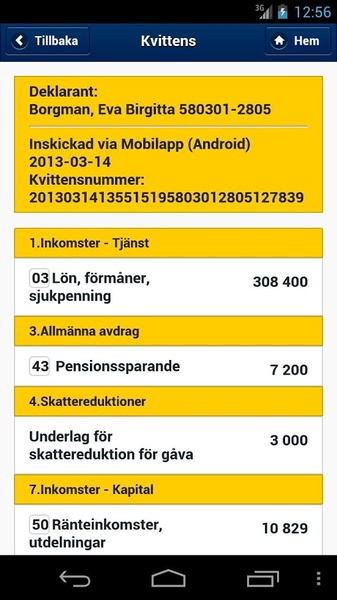 Skatteverket - Preview 3