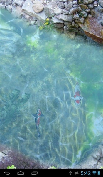 Koi fish pond II - Preview 4