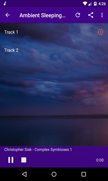 Ambient And Nature Radio - Preview 2