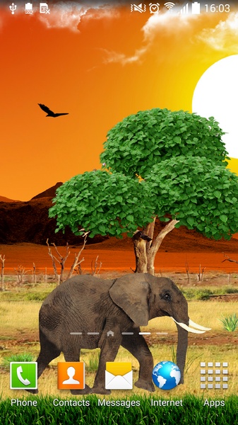 Safari Live Wallpaper - Preview 7