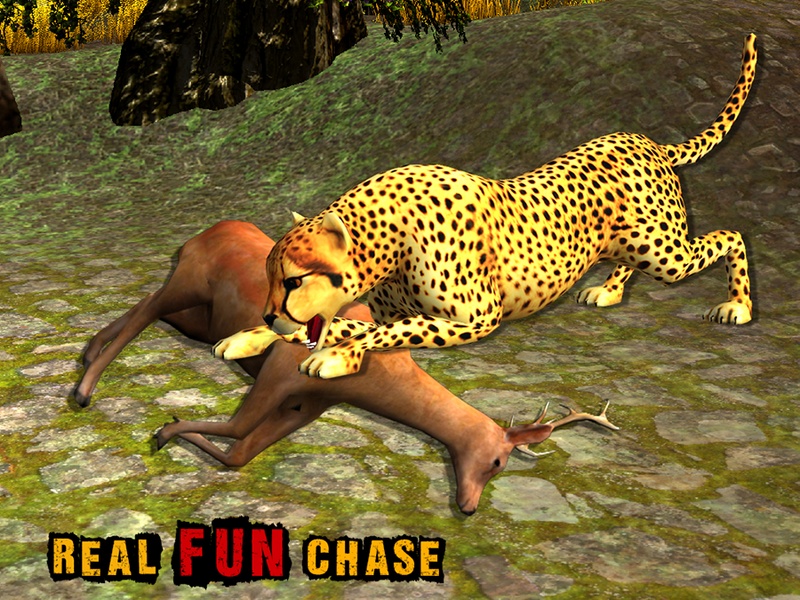 African Cheetah Wildlife - Preview 3