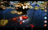 Koi Fish in the Pond screenshot 1