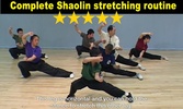 Shaolin Kung Fu screenshot 6