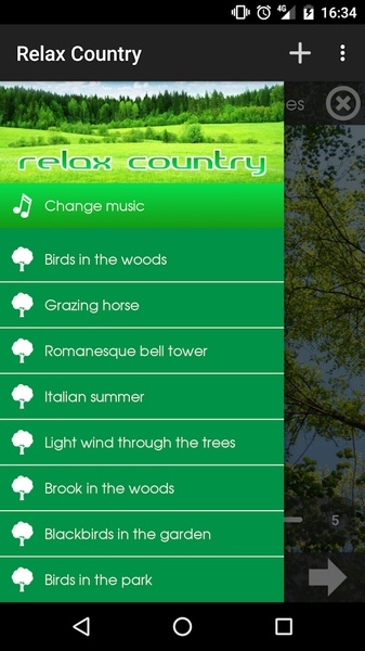 Relax Country - Preview 7