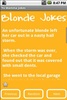 Blonde Jokes screenshot 1