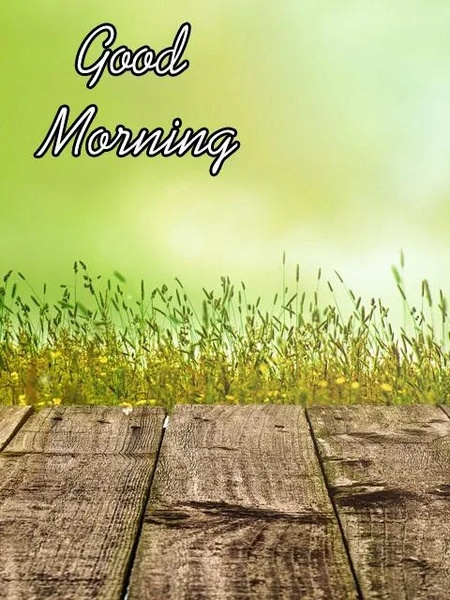 Good Morning Images - Preview 12