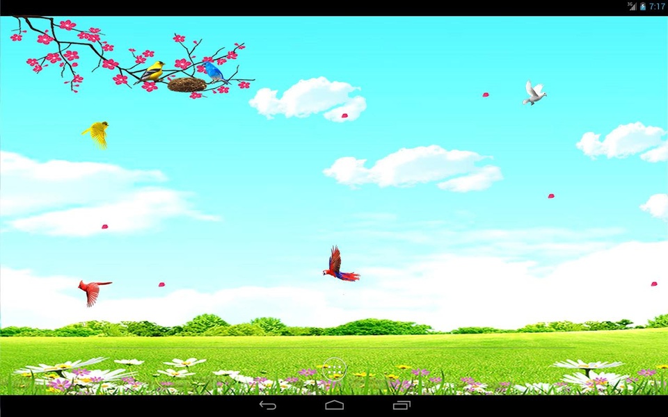Sky Birds (free) - Preview 4