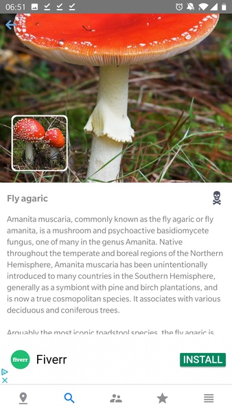 Mushroom Identificator - Preview 7